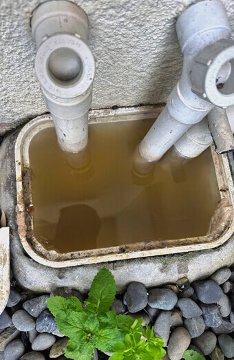 https://spearwoodplumber.com.au/uploads/2025/06/blocked-drains-912576.jpg
